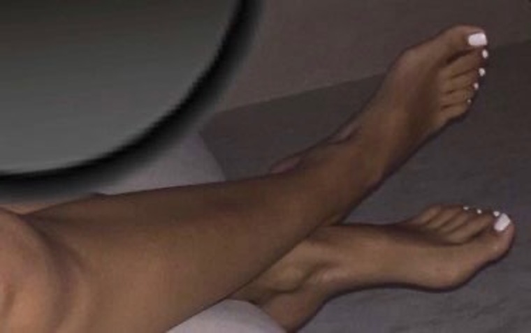 LIBElegs banner image