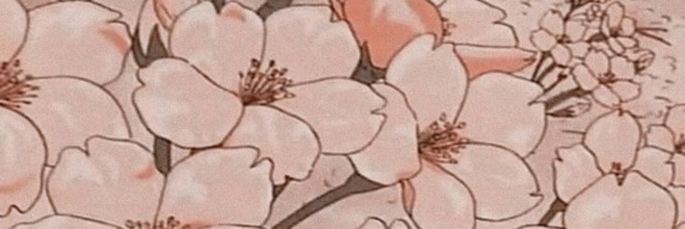 Zen Koala banner image