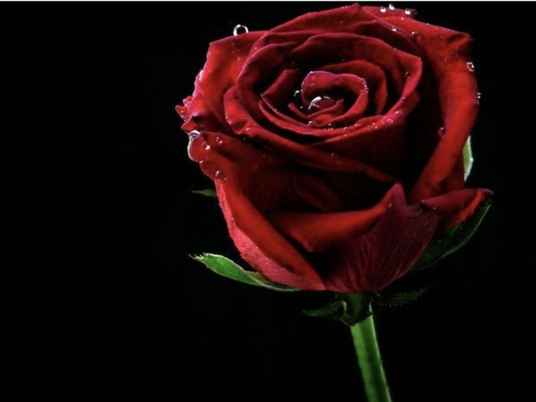 Darkest_desires banner image