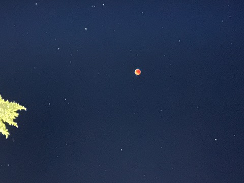 u253332676 cover image