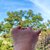 Lifeoflefty avatar