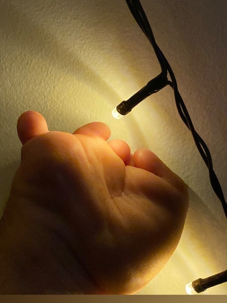 Lifeoflefty banner image