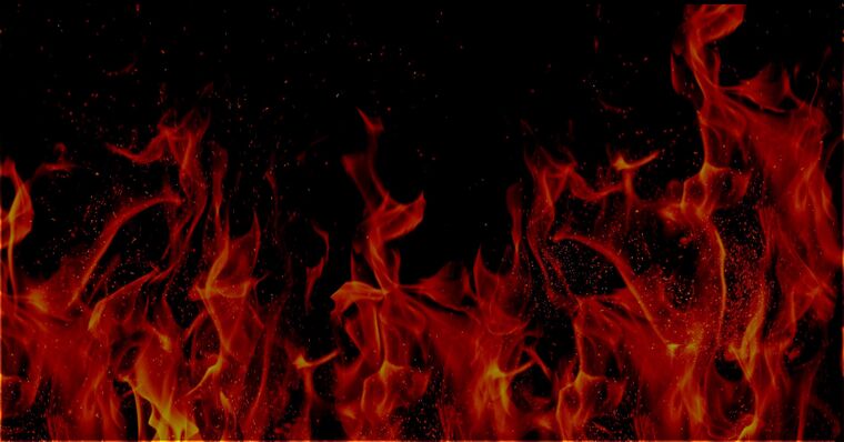 liv banner image