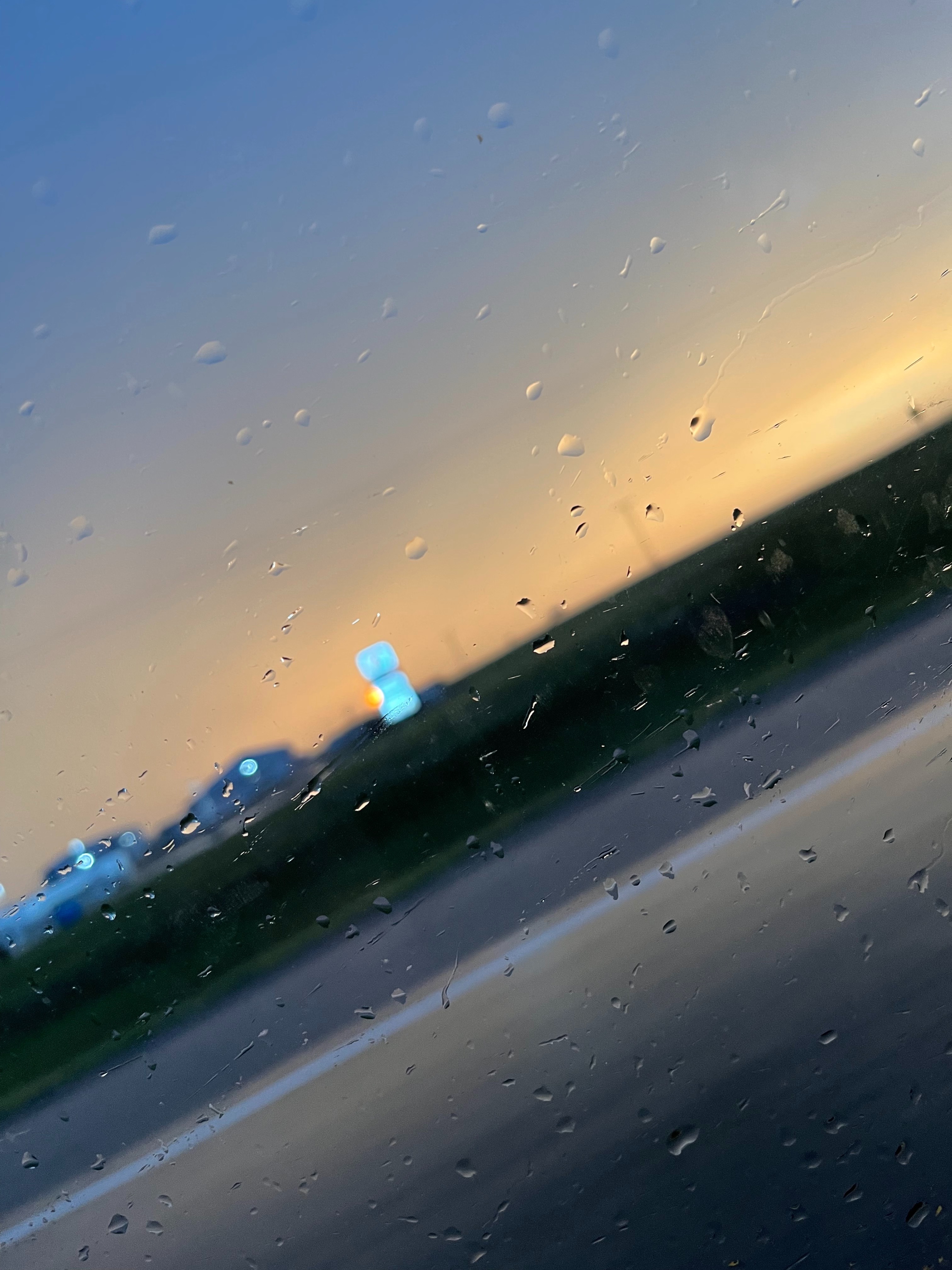 Liisa Stinson banner image