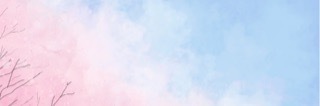 Liz Feet banner image