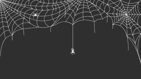 Sammy cover image