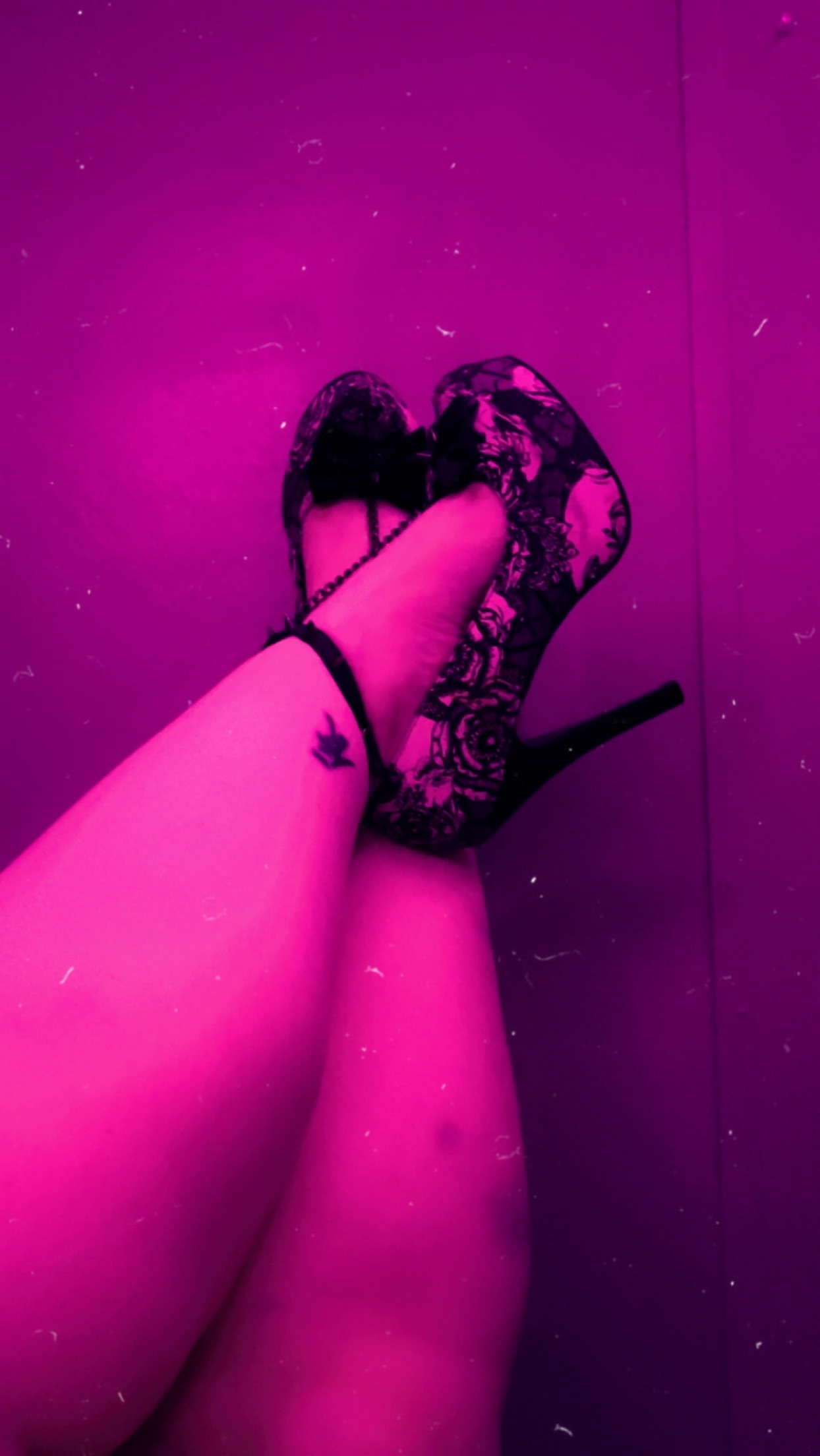 lil_bratty_pixie banner image
