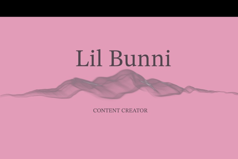 Lil bunni 🐰 cover image