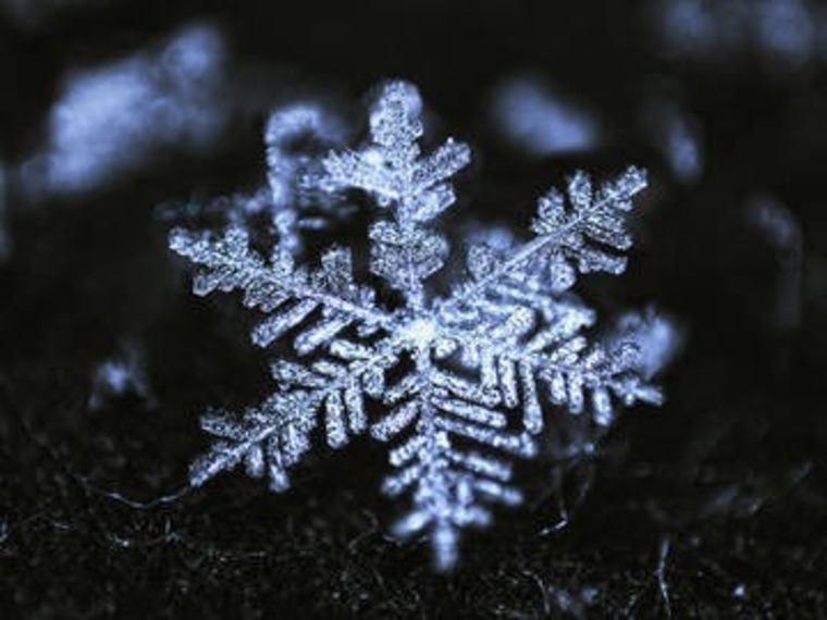 Snow banner image