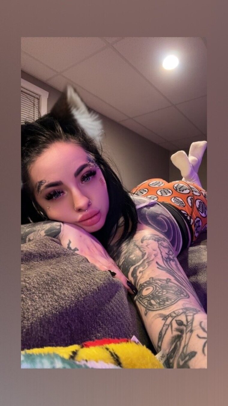 Lilalycat cover image
