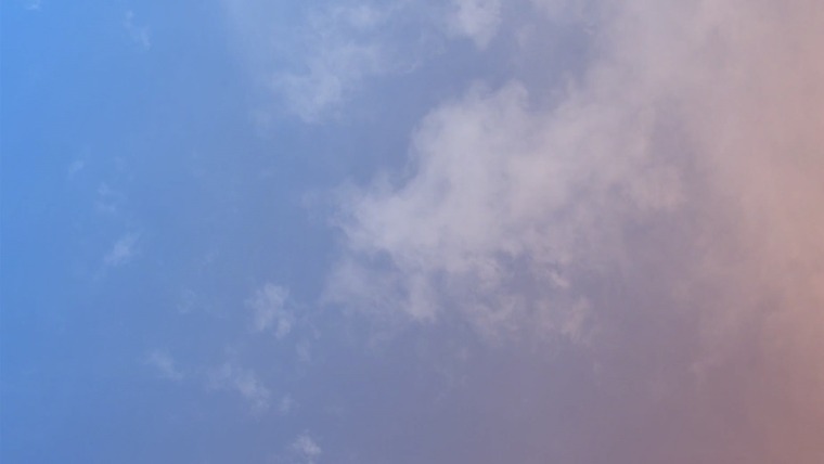 Lila May Petersen banner image