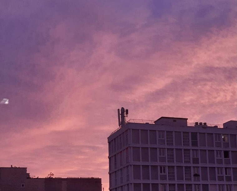 Lilas banner image