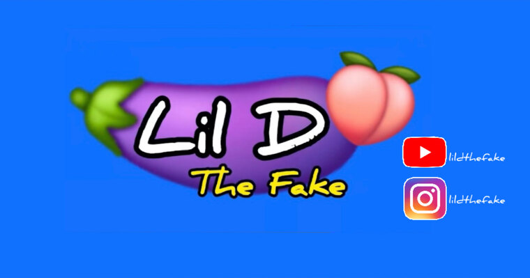 Lil D The Fake cover image