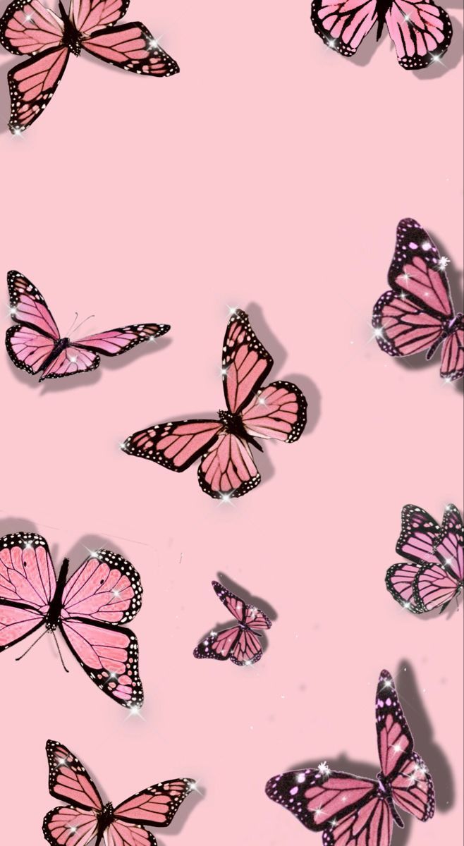 Lillian banner image