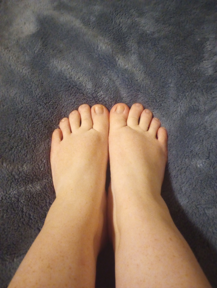 LilFox69 banner image