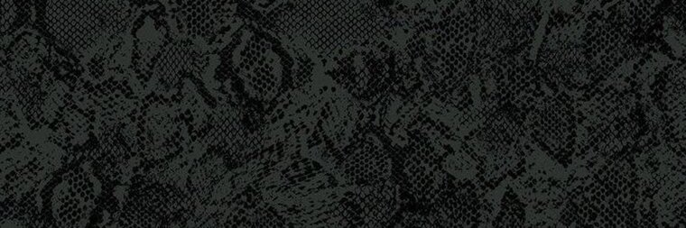 lili banner image