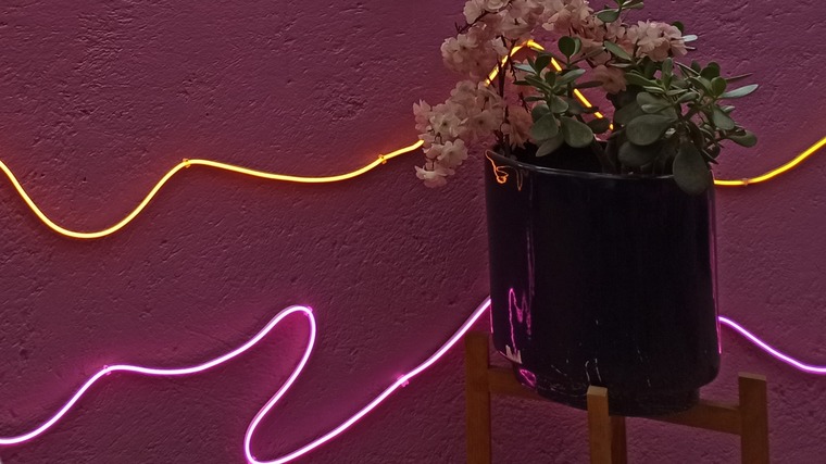 Lilifeet Lovers🦶💖 banner image
