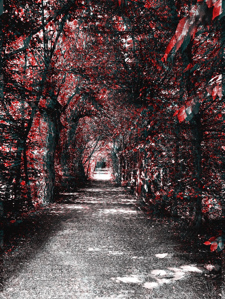 Lilith cover image