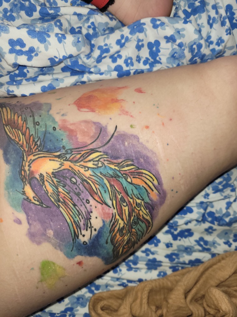 Lilkinkykitty banner image