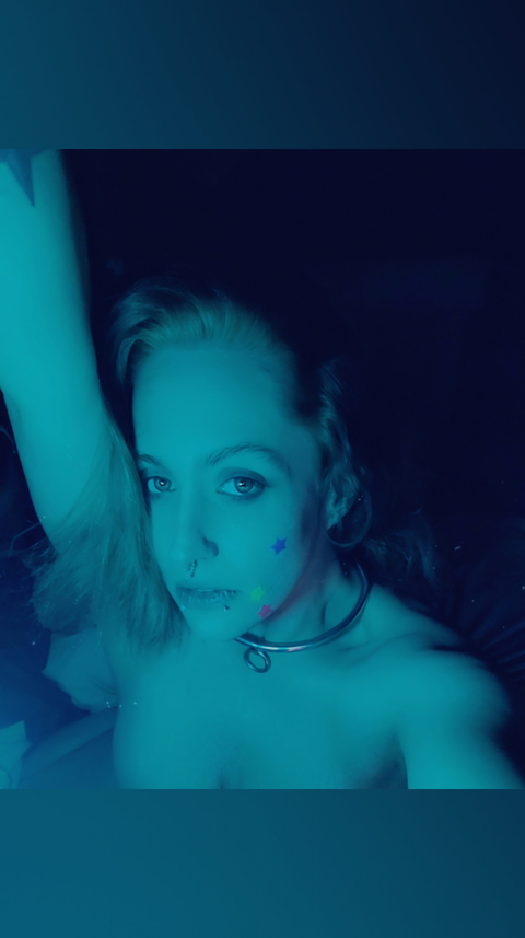 Kitten😽 cover image