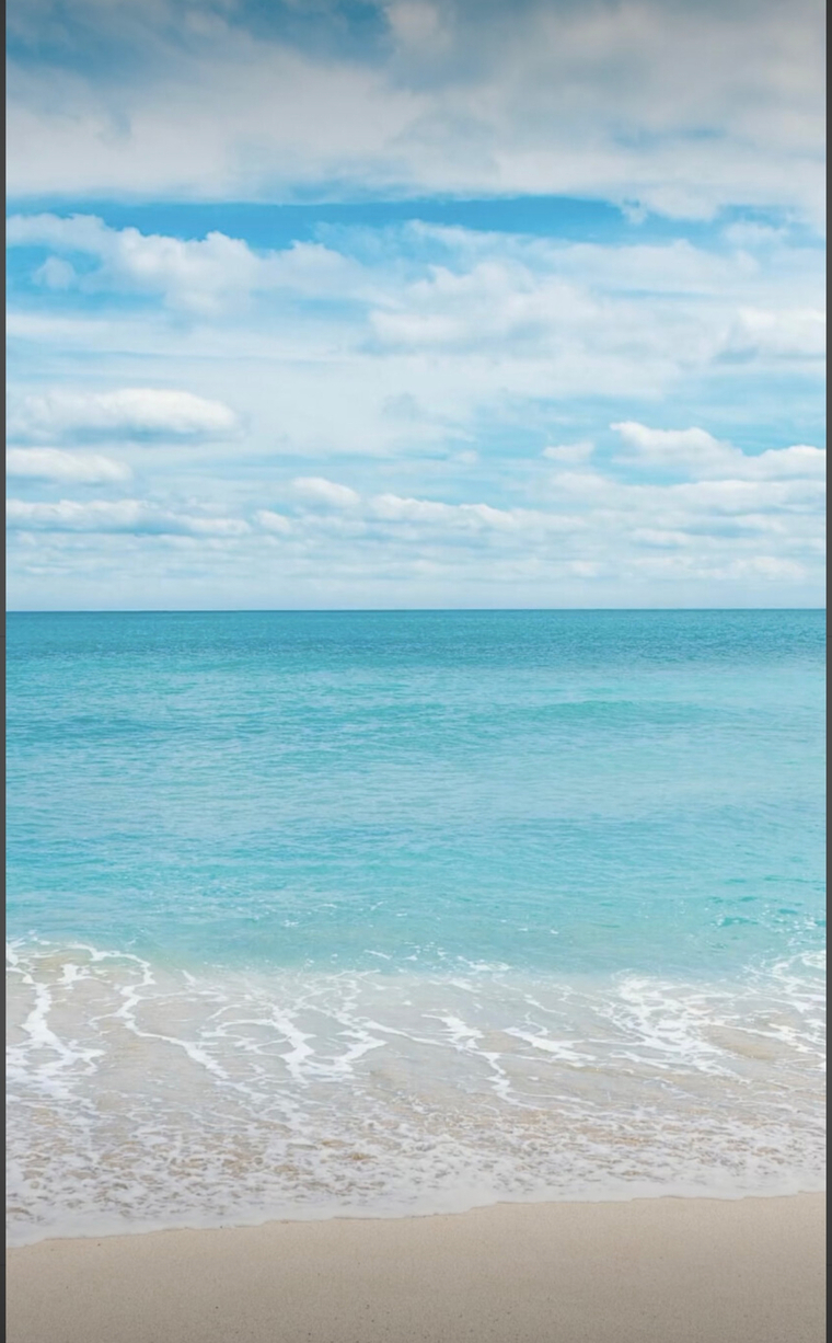 lilly cover image