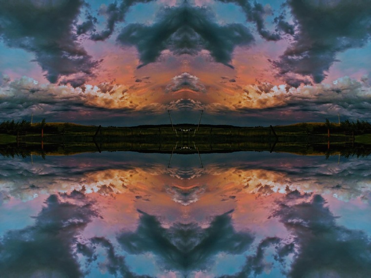 Lilly πΏβ¨ππ΅ππ¦ banner image