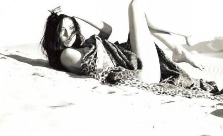 Lilly cover image