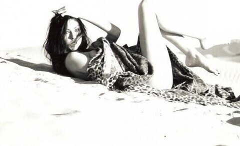 Lilly cover image