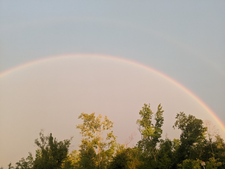 Iris Savage cover image