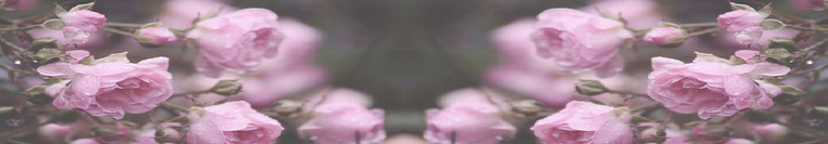 Lilmissfrankly banner image
