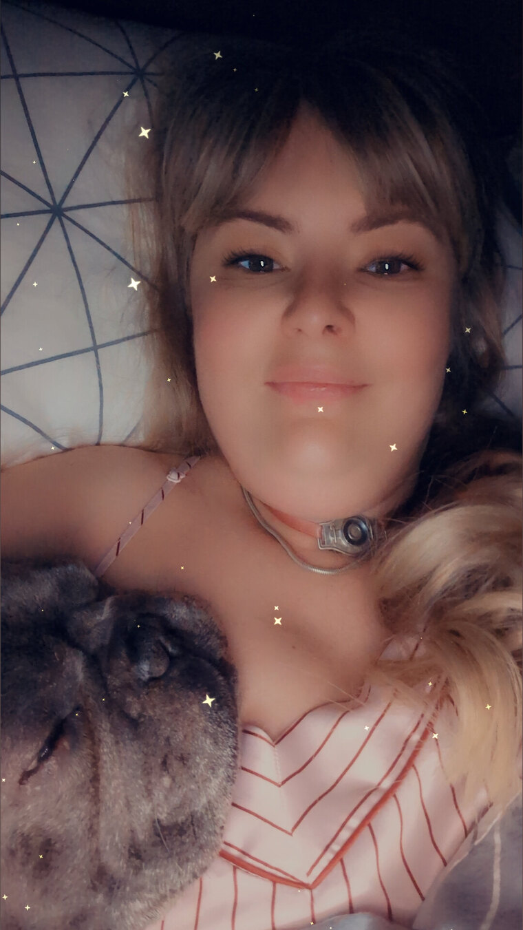 Lilmisshusky cover image