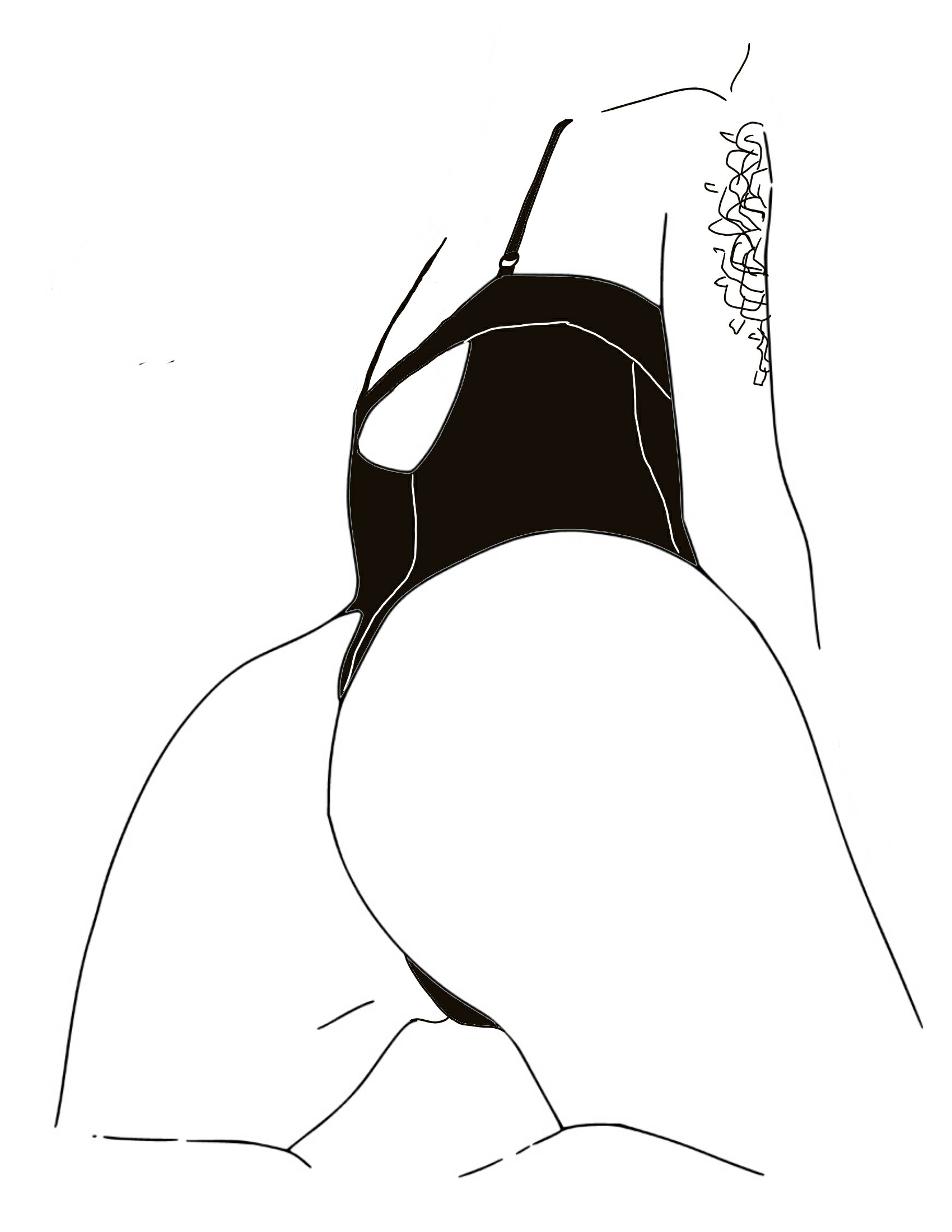 lilnxmpho banner image