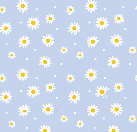 Lilprincess cover image