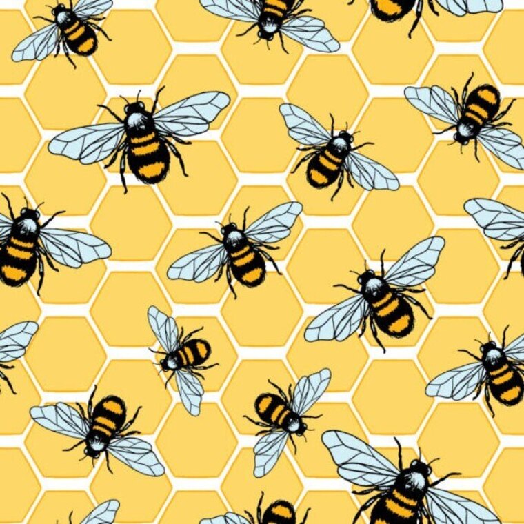 Lil Bee cover image