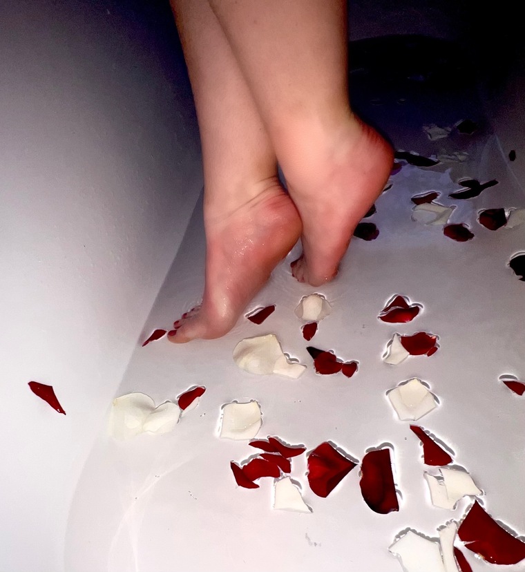 LilyMae cover image