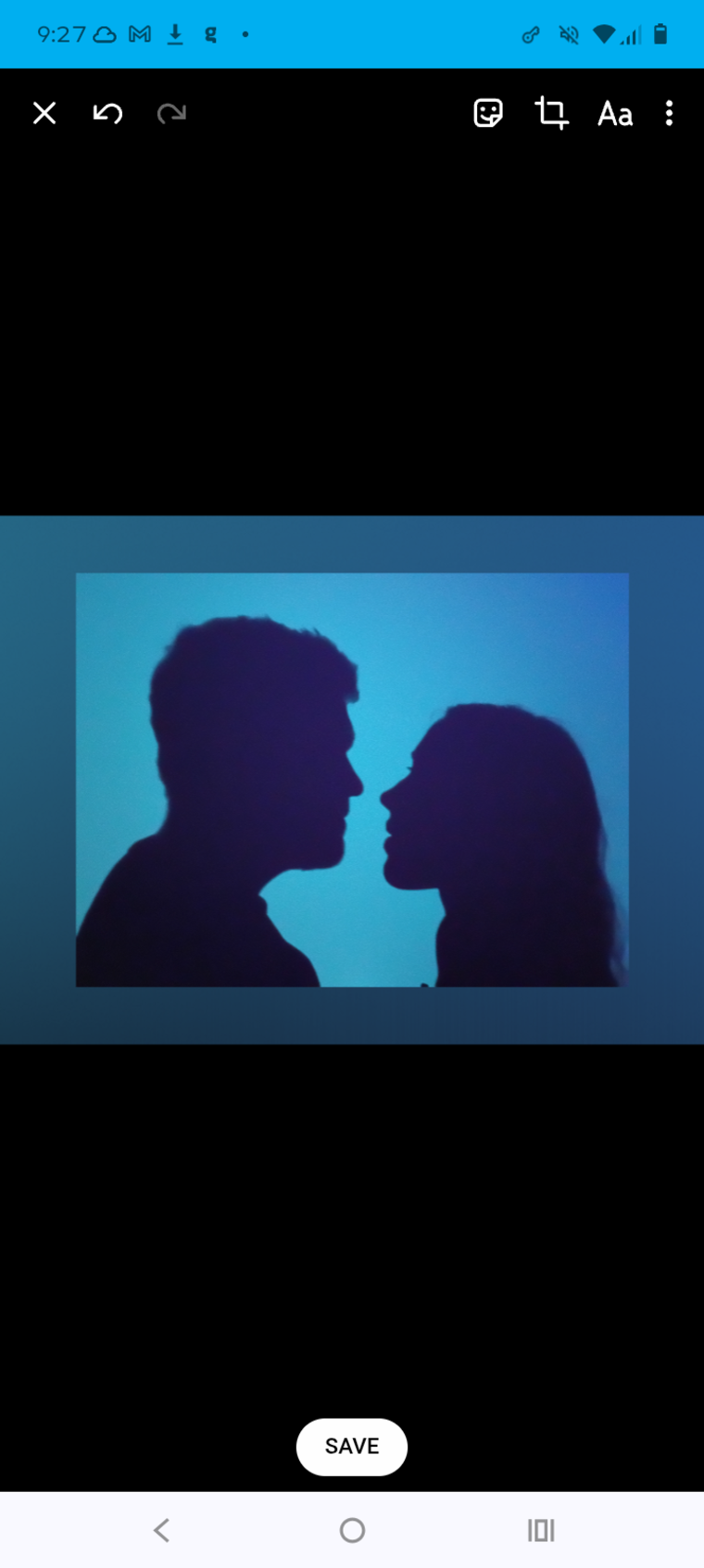 Lily and Leo banner image
