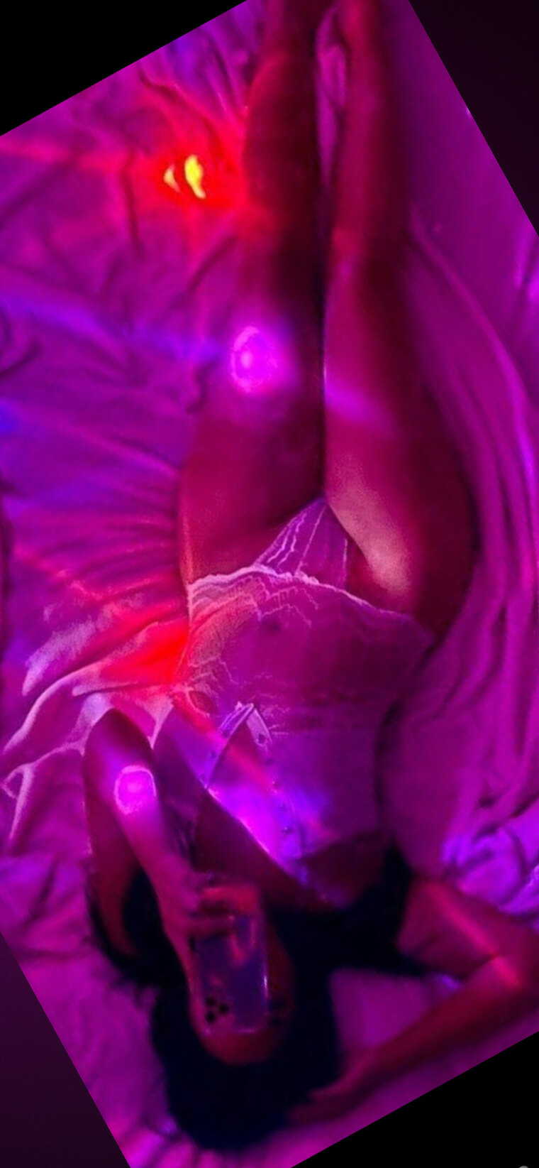 Lily Booty Rican banner image