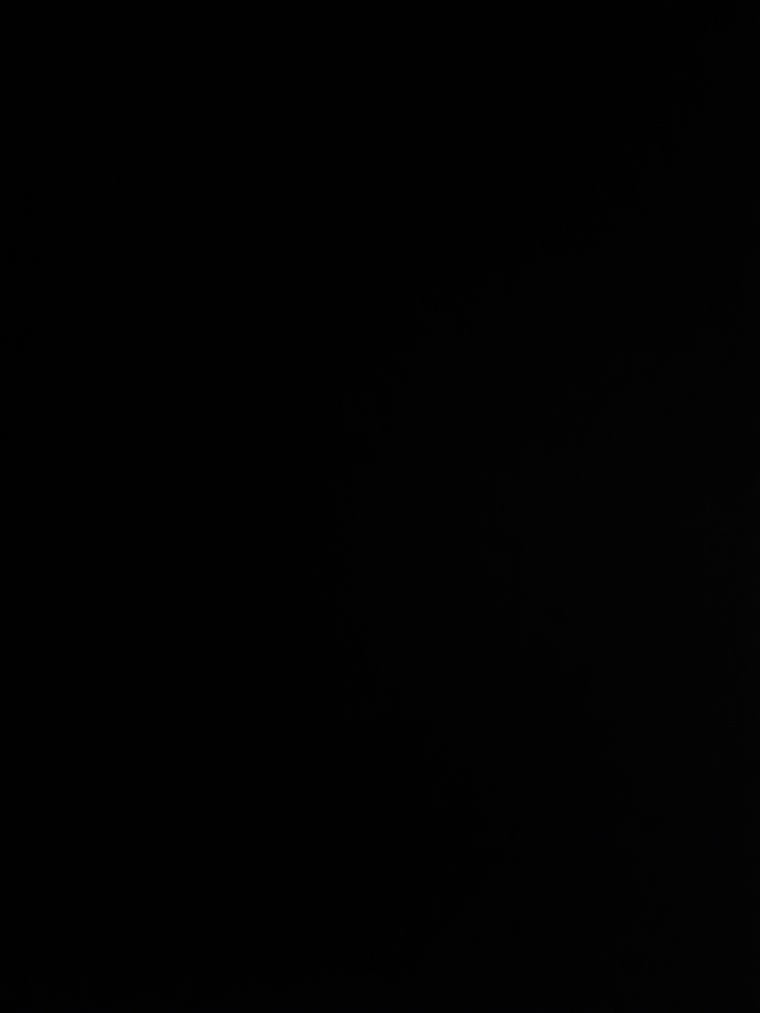 LilyJ0904 banner image