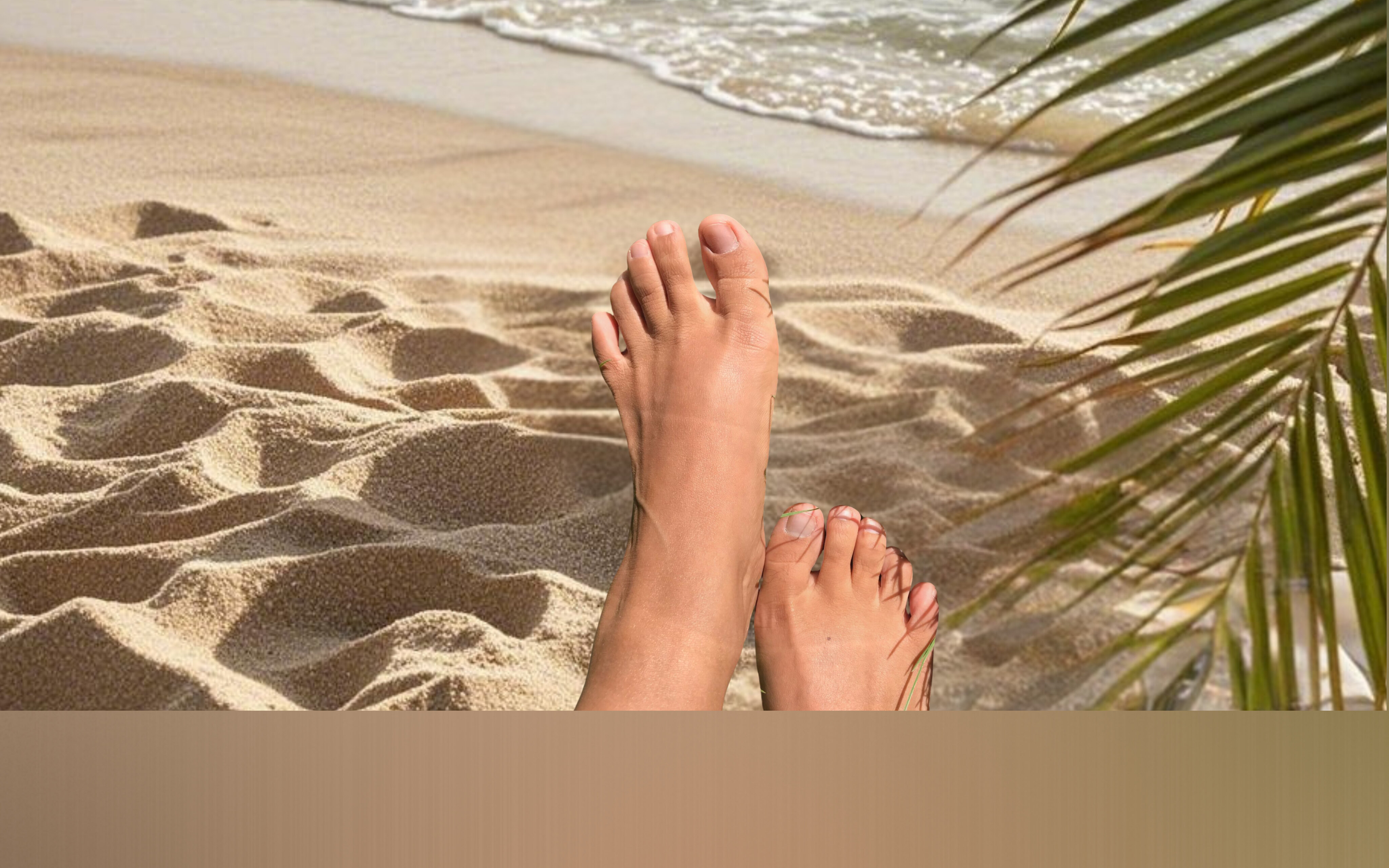 Lilylaly banner image