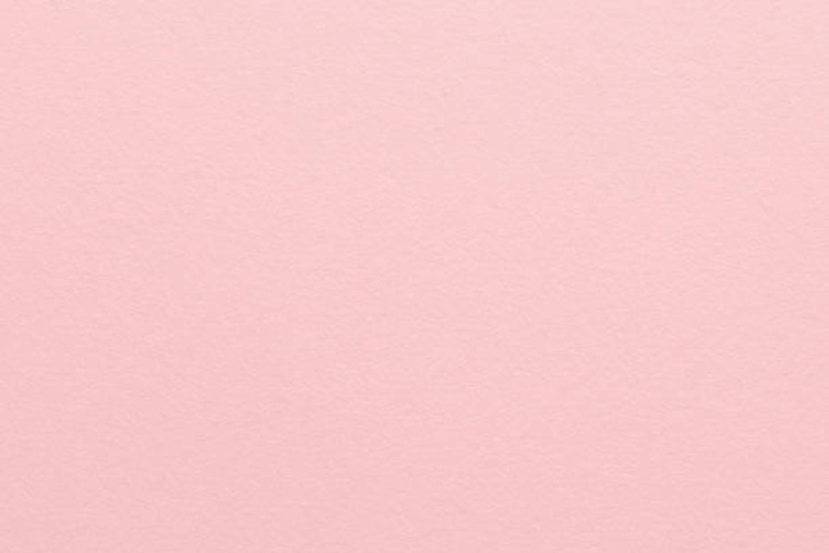 Lily banner image