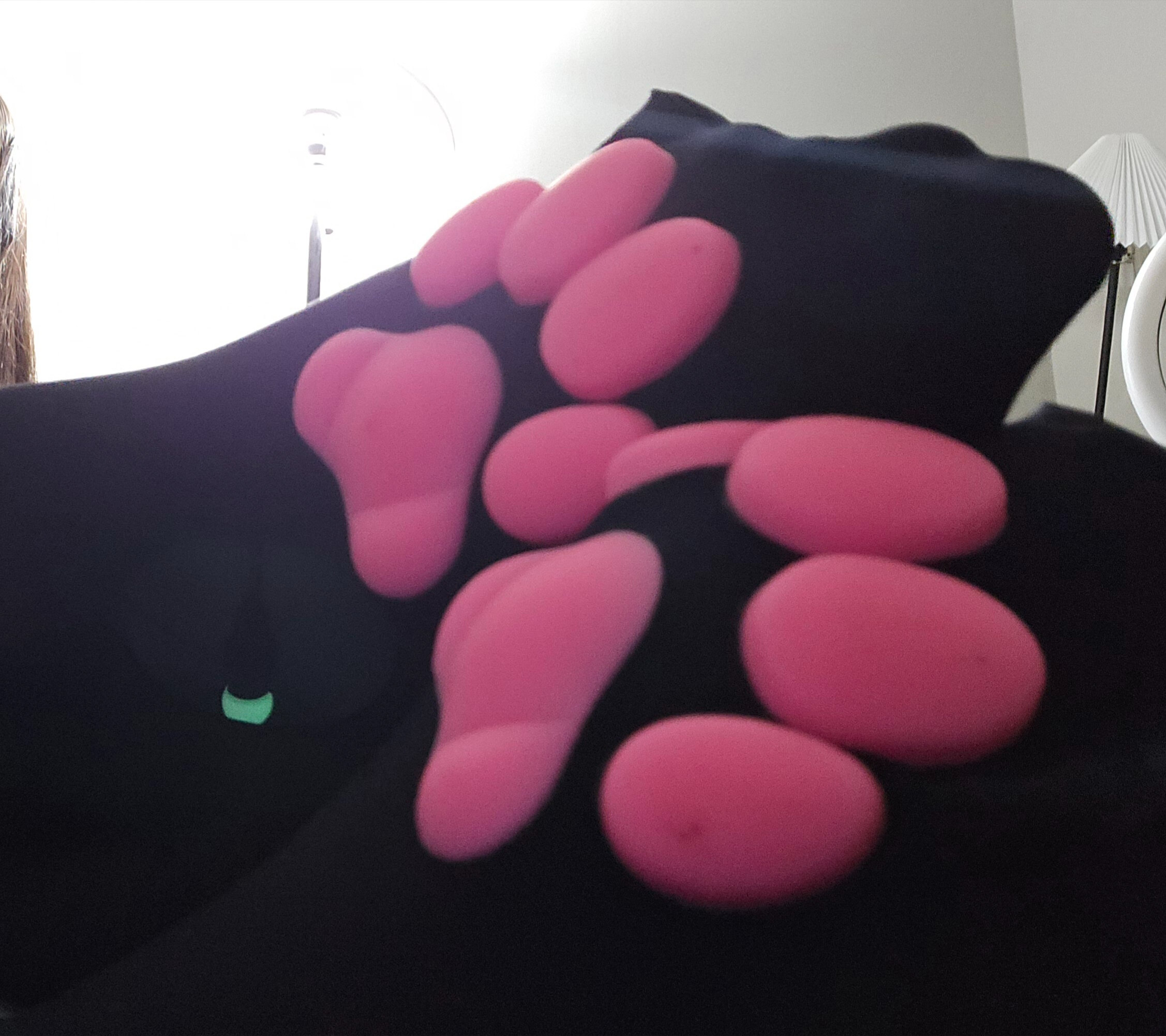 Lily banner image