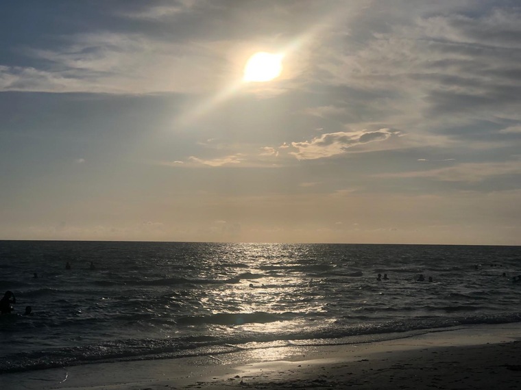 Lilyou24 banner image