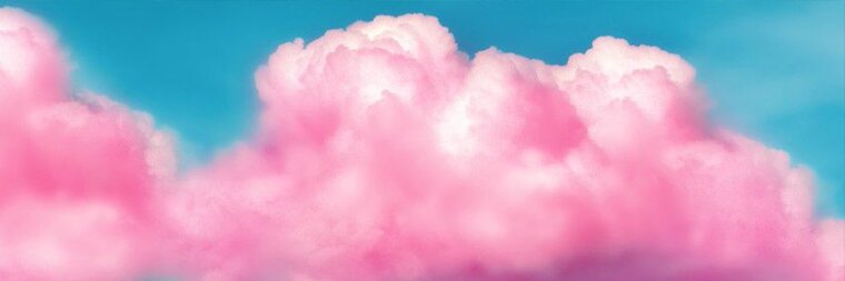 Lily Petals banner image