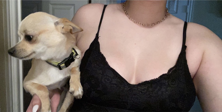 Lily Love banner image