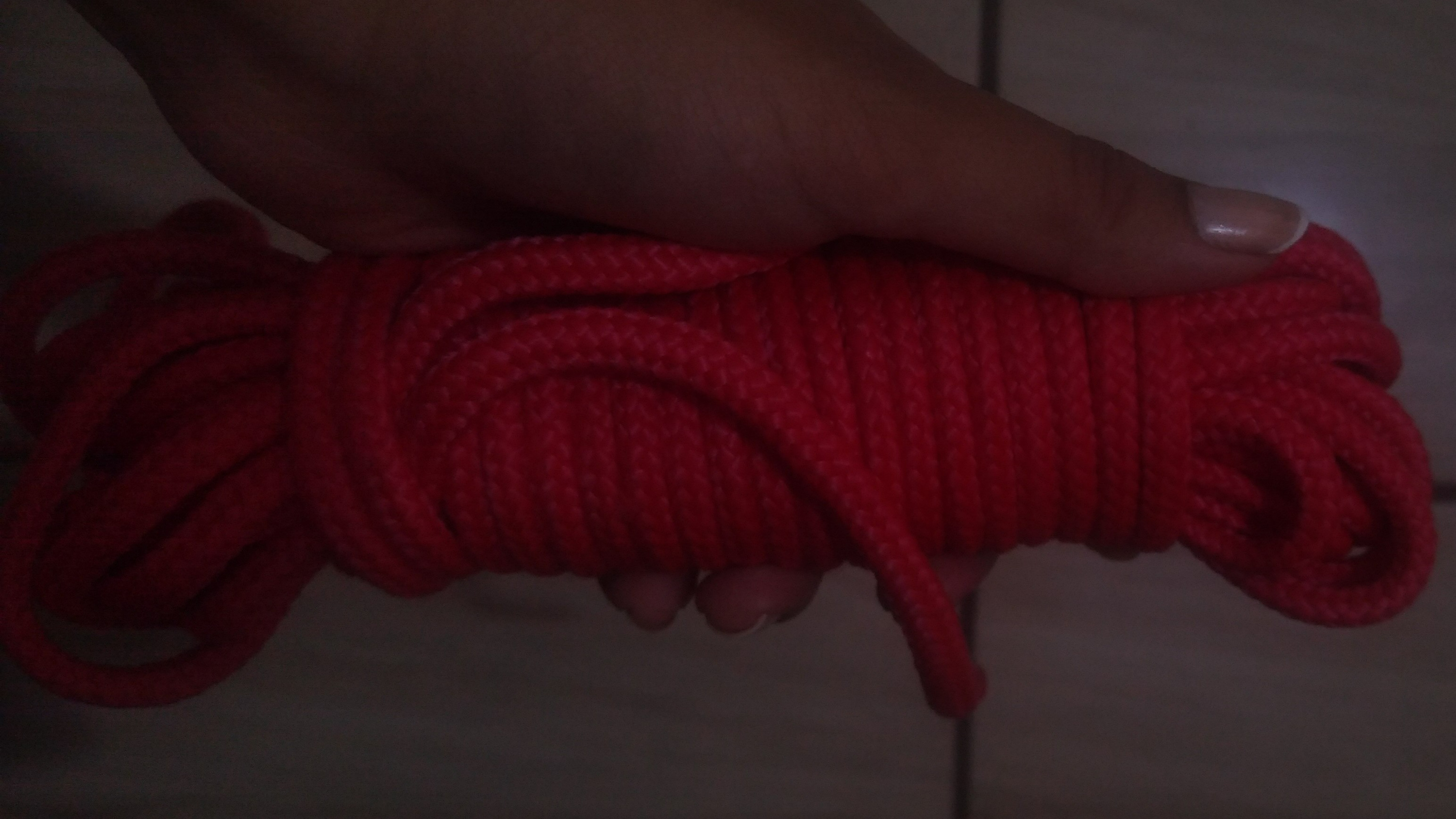 Shibari Lily banner image