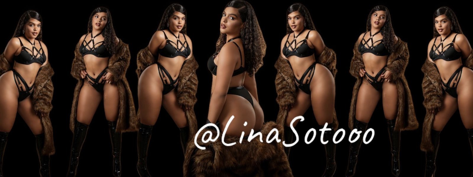 Lina soto banner image