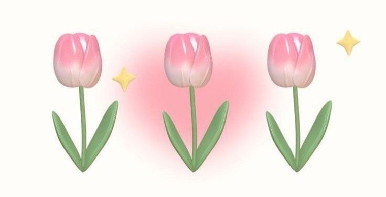 Linda Isabella banner image