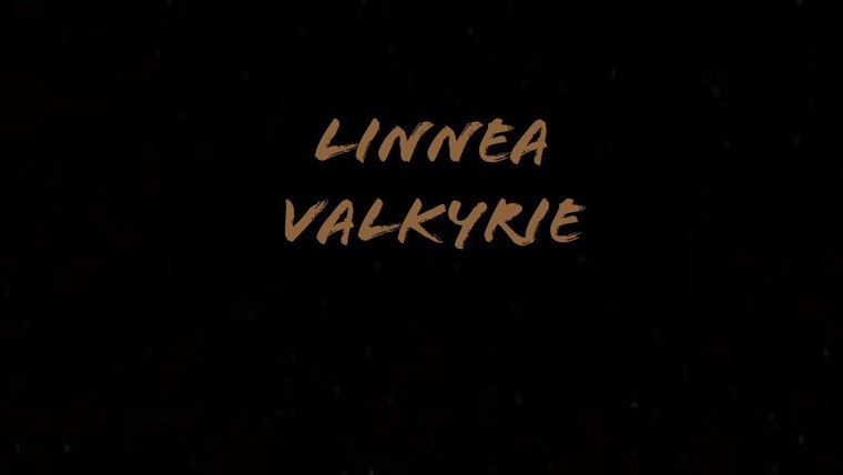 LinneaValkyrie cover image
