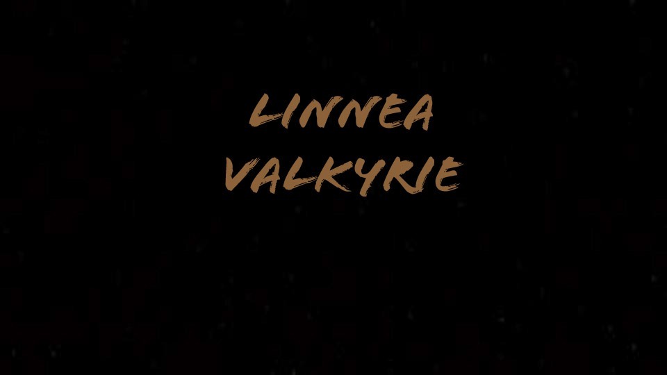 LinneaValkyrie banner image