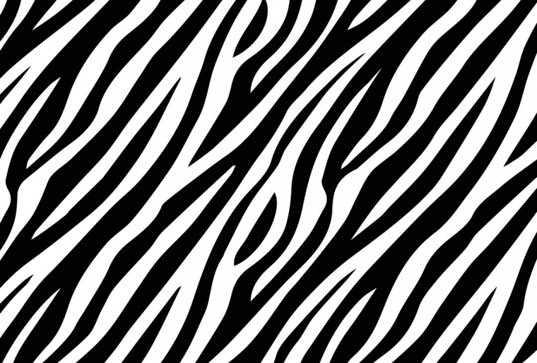 Lions_heart cover image